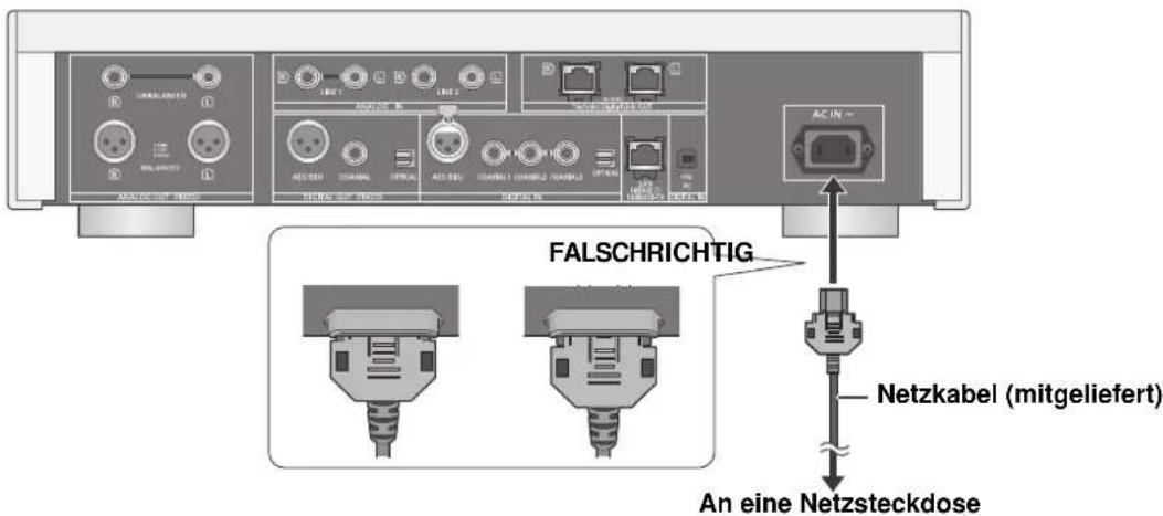 TECHNICS SUR1EG - Netzkabelanschluss - 1