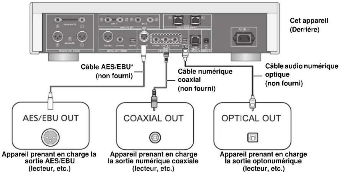 TECHNICS SUR1EG - Branchement aux dispositifs de sortie audio numérique - 1