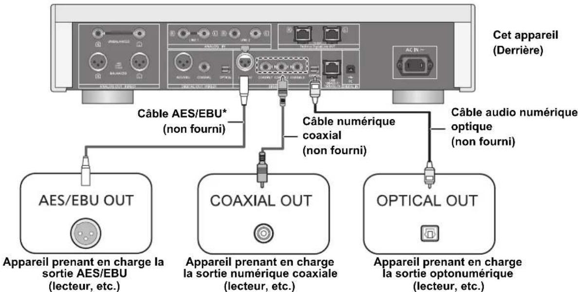 TECHNICS SUR1AE - Branchement aux dispositifs de sortie audio numérique - 1