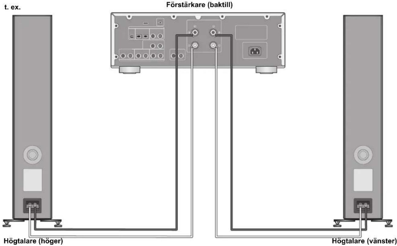 TECHNICS SBG90E - Att ansluta en förstärkare - 1