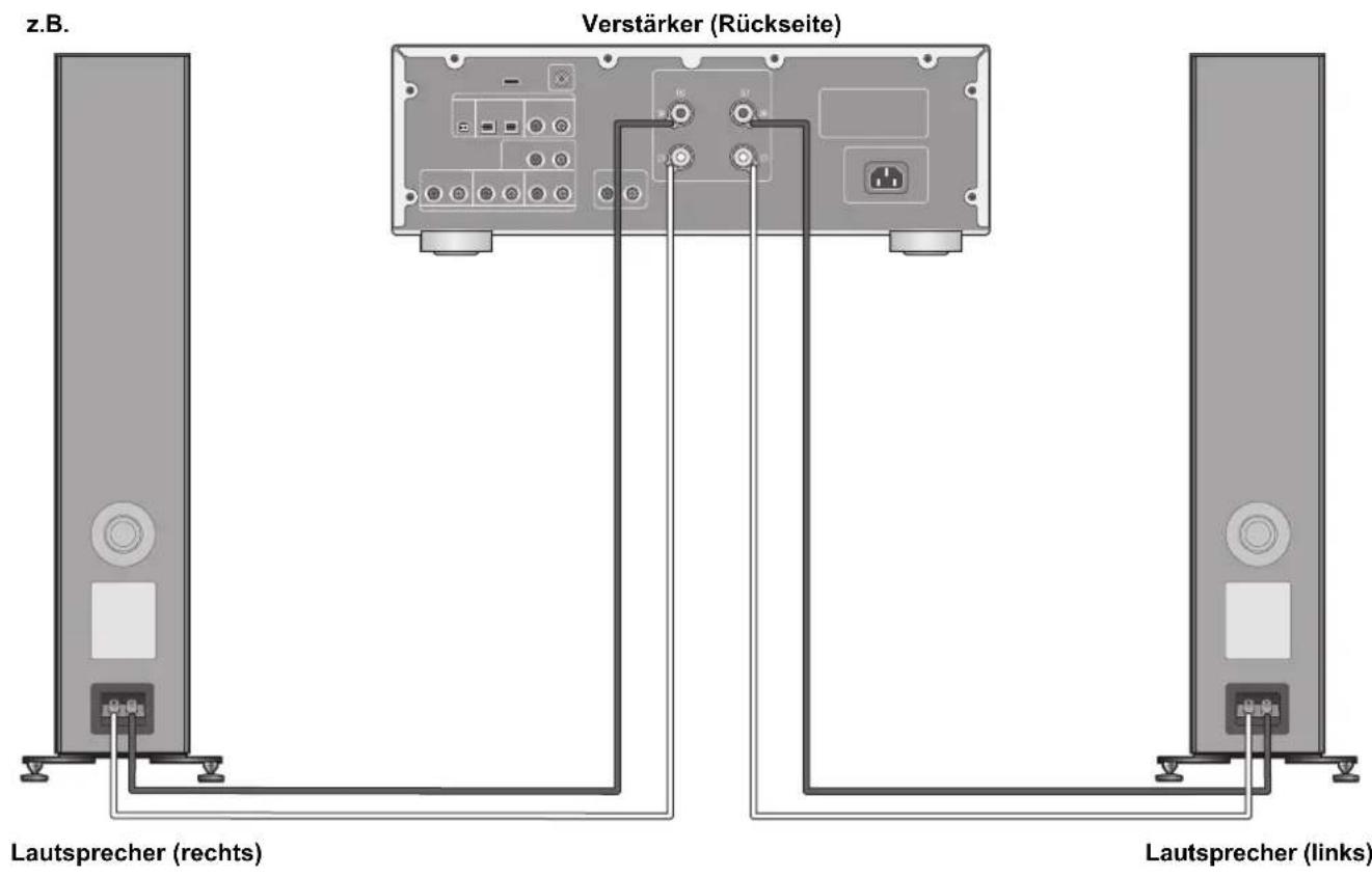 TECHNICS SBG90E - Anschluss über einen Verstärker - 1