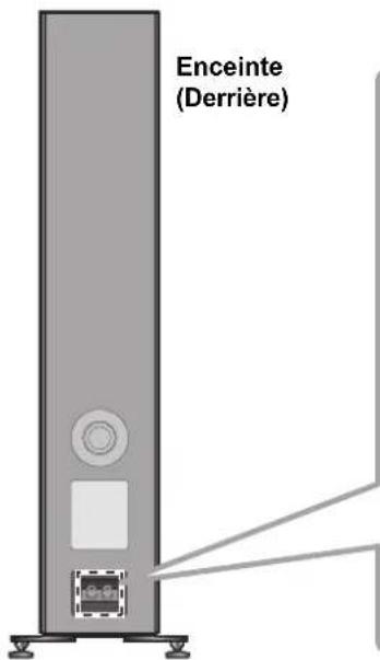 TECHNICS SBG90E - Pour connecter les câbles de l'enceinte - 1