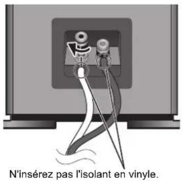 TECHNICS SBG90E - Pour connecter les câbles de l'enceinte - 3