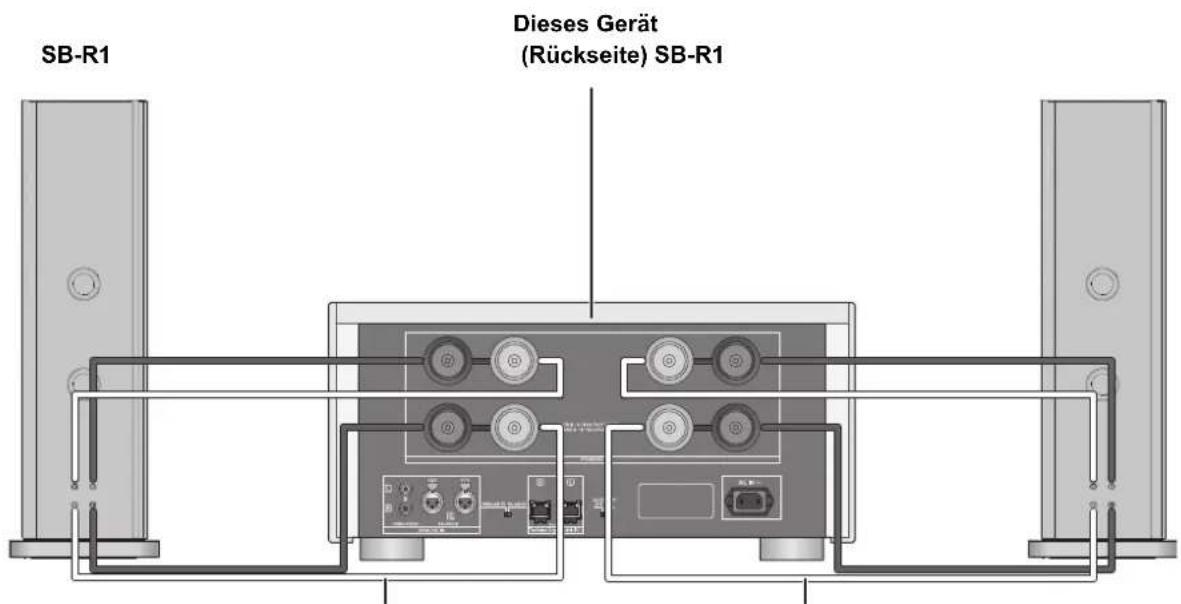 TECHNICS SER1EB - ■ Bi-Wiring-Verbindung - 1