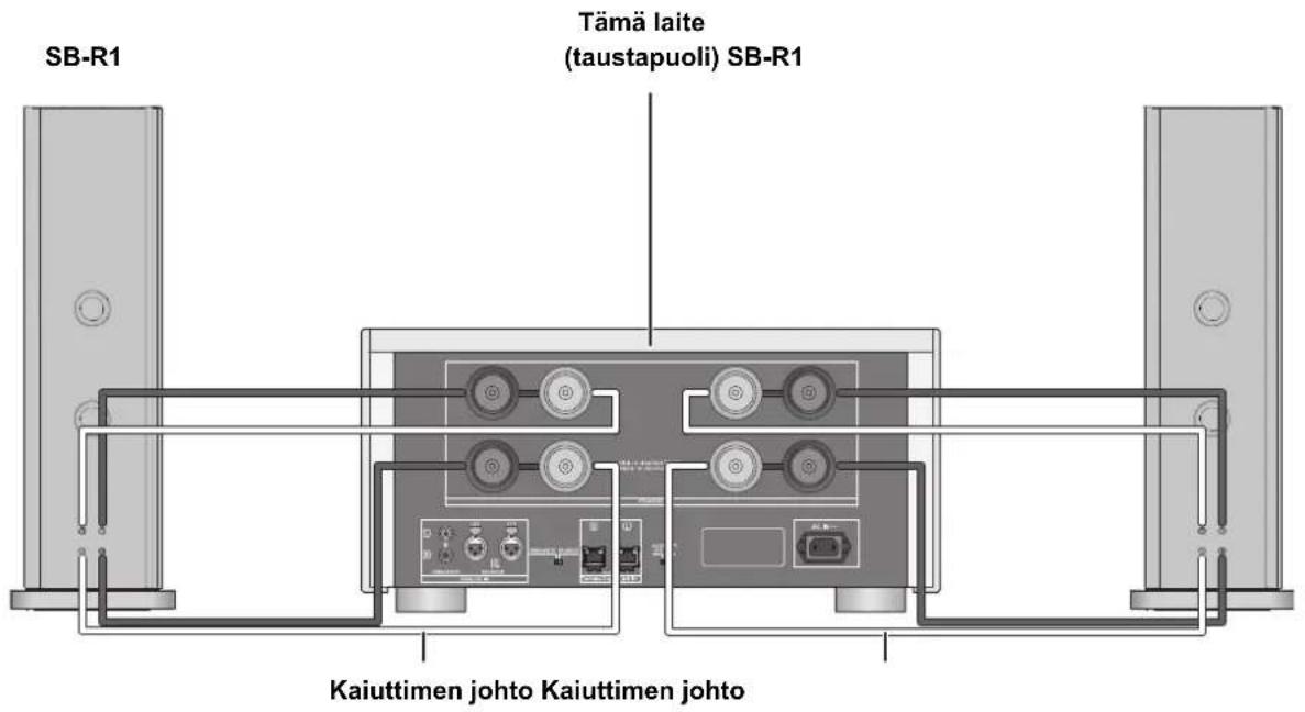 TECHNICS SER1EB - Kaksoisjohdotusliiäntä - 1
