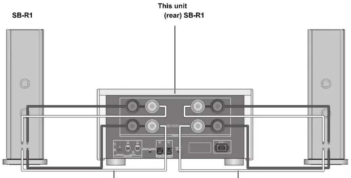 TECHNICS SER1EB - Bi-wiring connection - 1