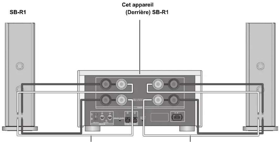 TECHNICS SER1EB - Raccordement double - 1