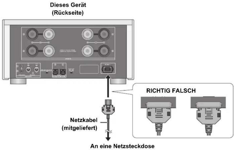 TECHNICS SER1EB - Netzkabelanschluss - 1