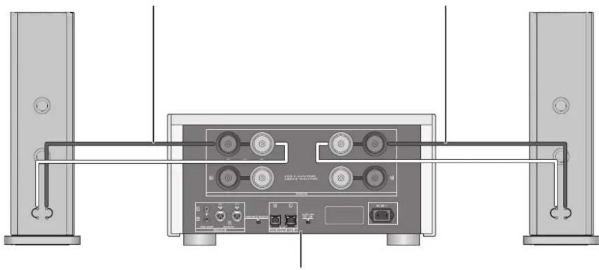 TECHNICS SER1EB - Single wiring connection - 1