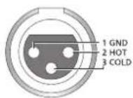 TECHNICS SUR1EB - Polarità dei terminali audio bilanziati - 1