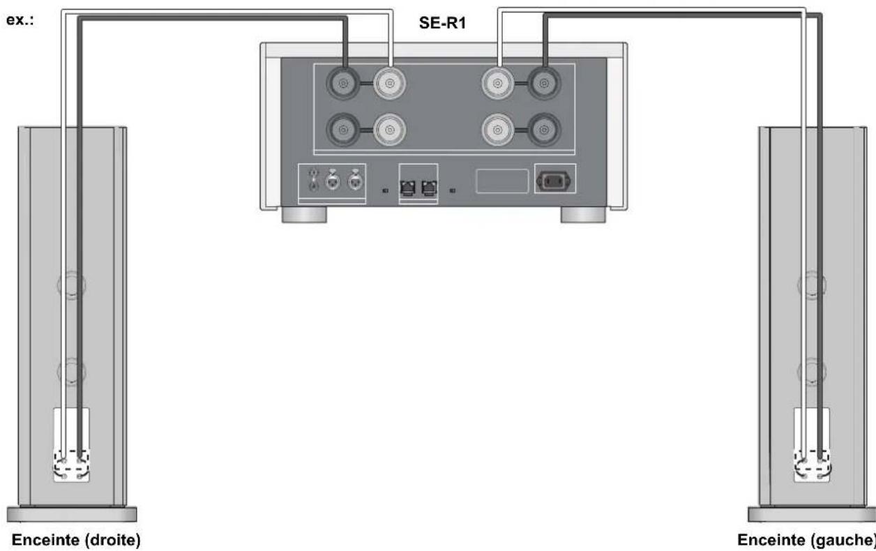 TECHNICS SBR1E - Raccordement simple - 2