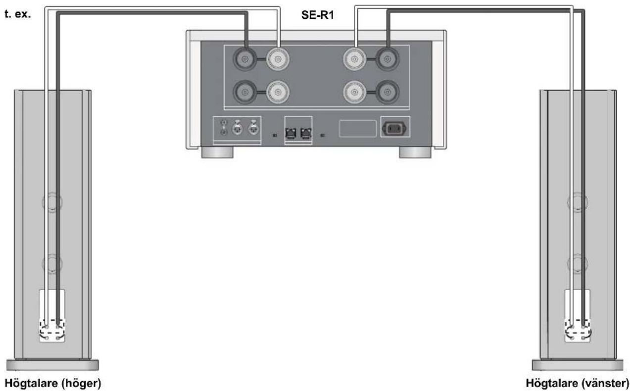 TECHNICS SBR1E - ■ Anslutnig med en kabel - 2