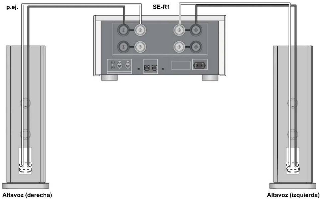 TECHNICS SBR1E - Conexión de un solo cableado - 2