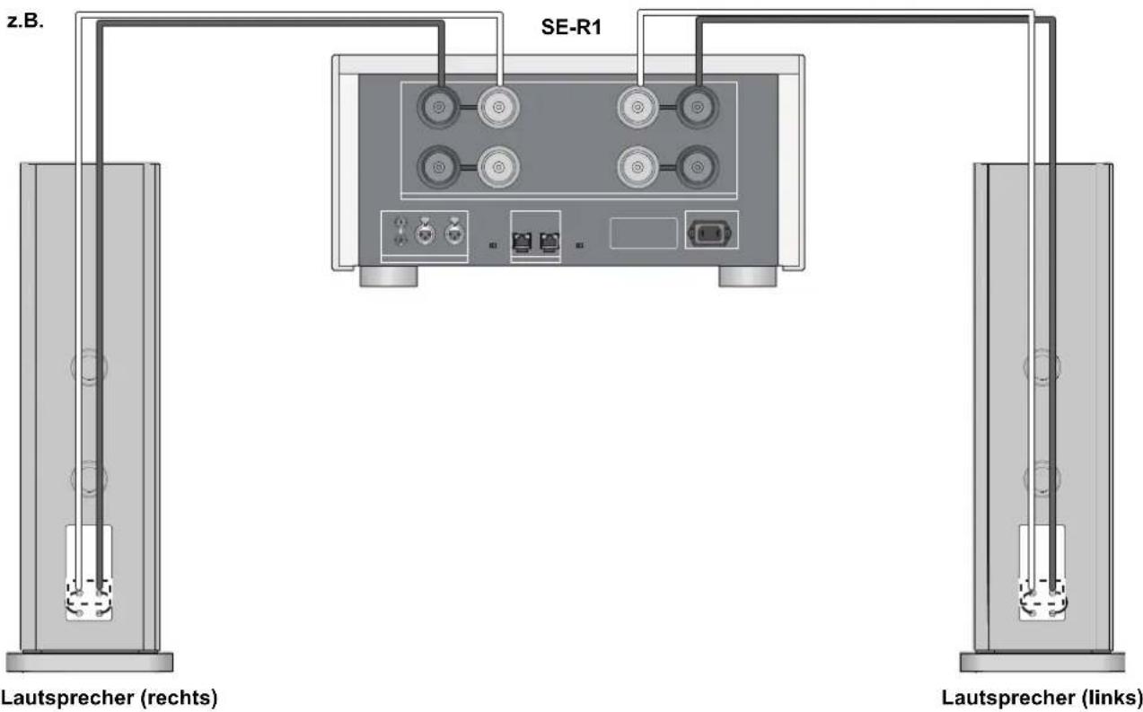 TECHNICS SBR1E - Einfache Kabelverbindung - 2