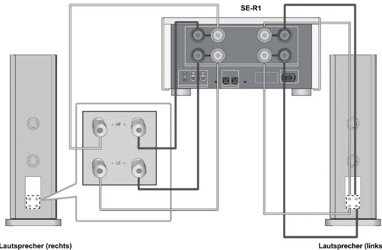 TECHNICS SBR1E - Bi-Wiring-Verbinding - 1