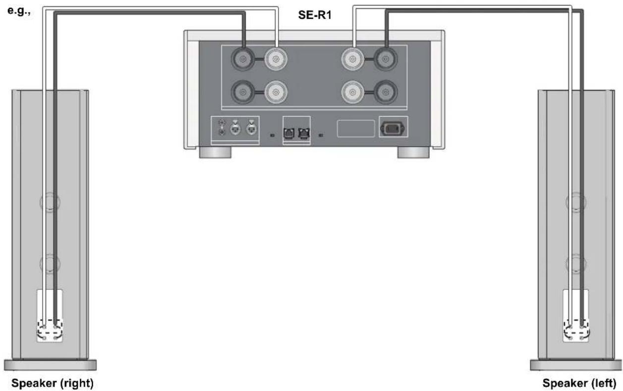 TECHNICS SBR1E - Single wiring connection - 2