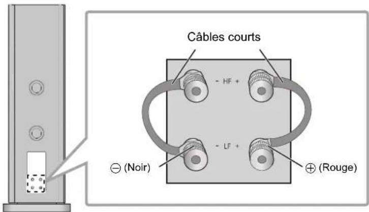 TECHNICS SBR1E - Raccordement simple - 1
