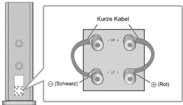 TECHNICS SBR1E - Einfache Kabelverbindung - 1