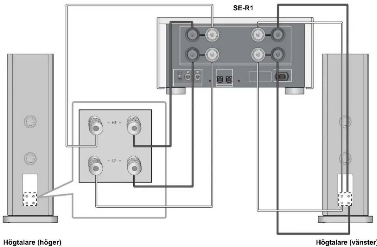 TECHNICS SBR1E - ■ Anslutining med tvá kablar med tvá ledare (bi-wiring) - 1