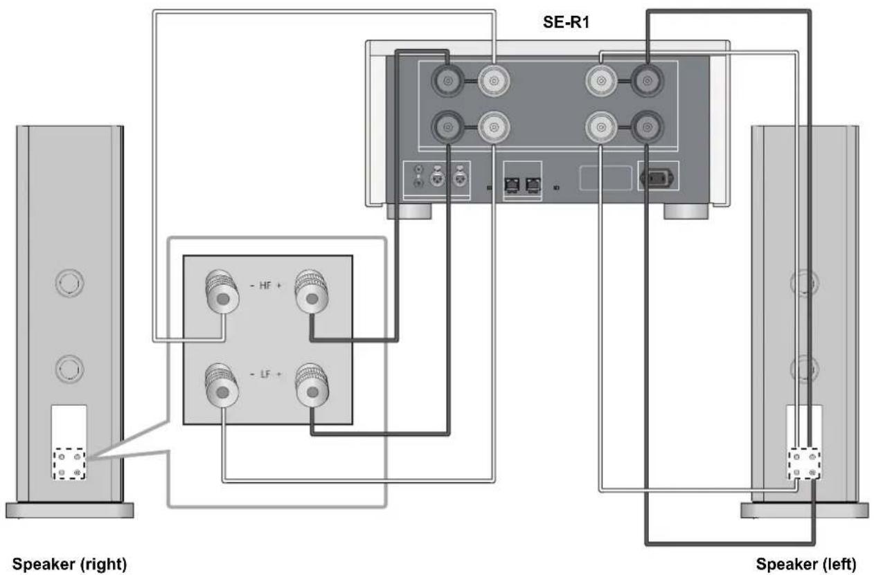 TECHNICS SBR1E - Bi-wiring connection - 1