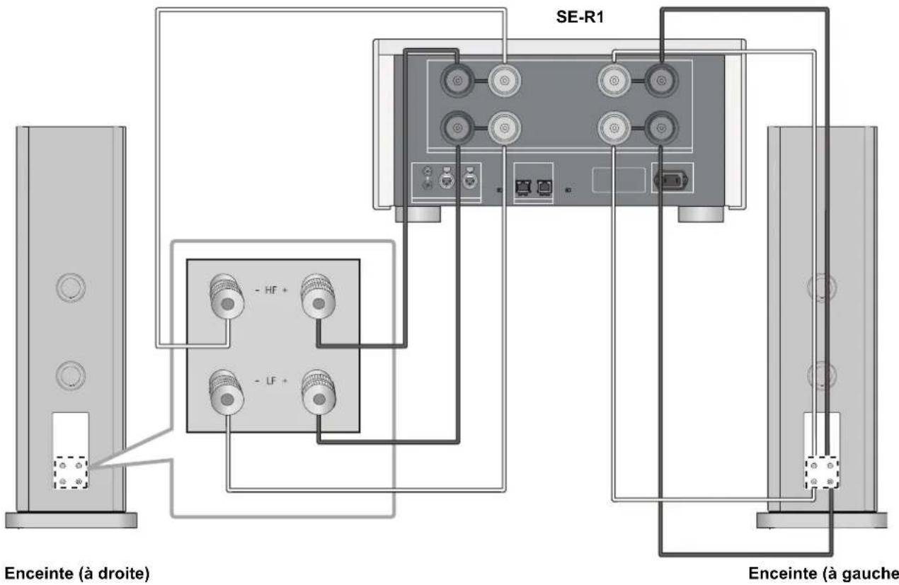 TECHNICS SBR1E - Branchement bi-câblage - 1