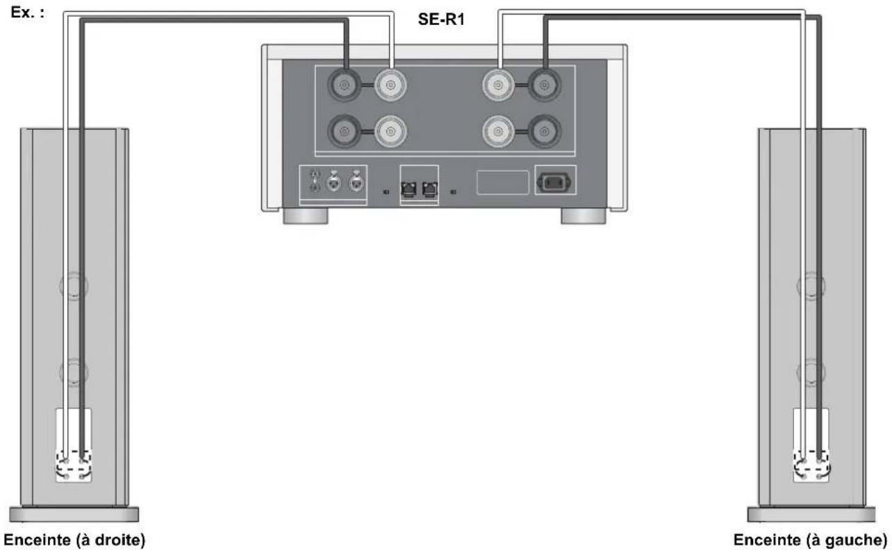 TECHNICS SBR1E - Branchement mono-câblage - 2