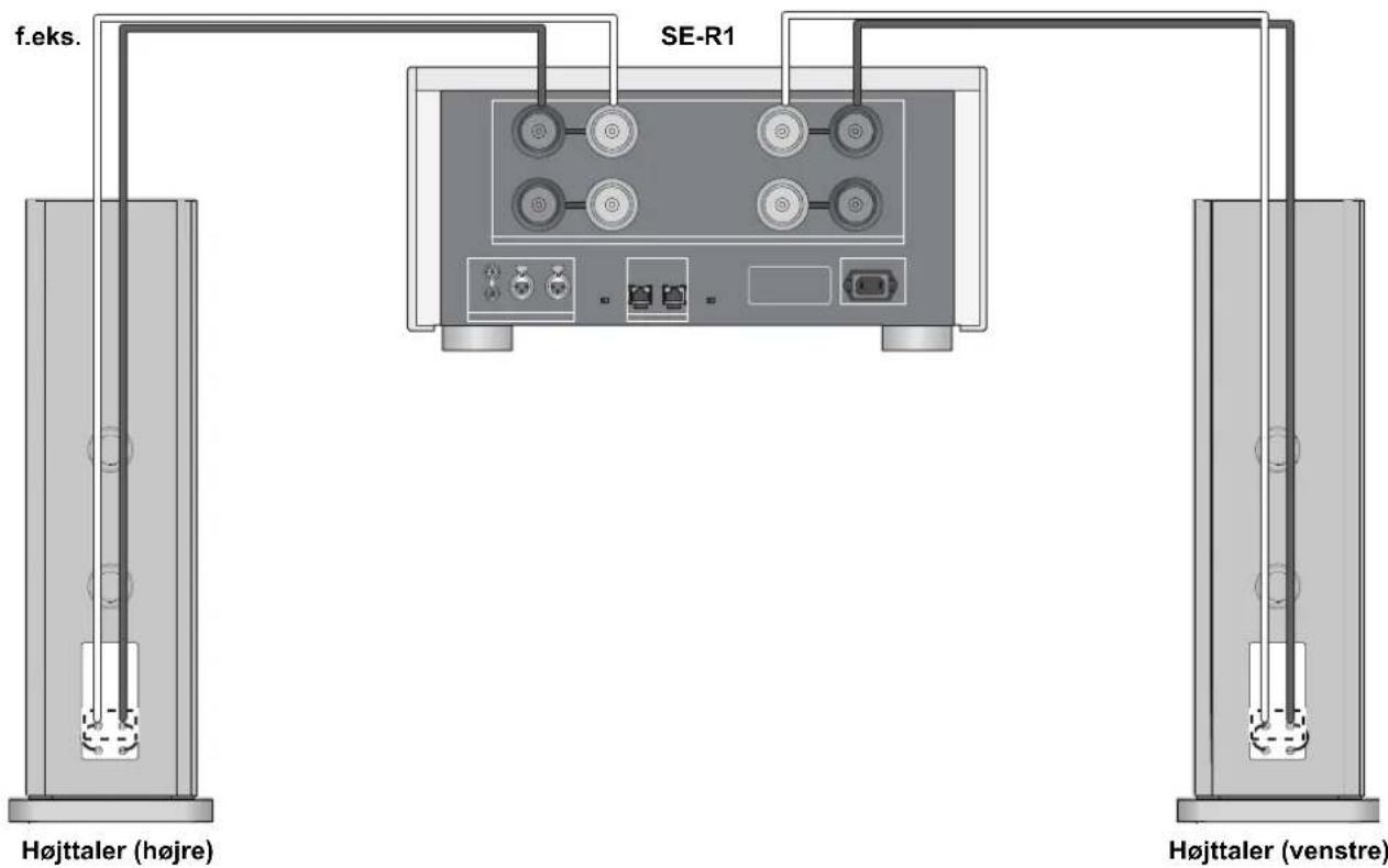 TECHNICS SBR1E - ■ Enkelt ledningsforbindelse - 2