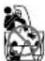 GREENWORKS GD80ST - Portugues (Tradu3ro das instru3xes originais) - 8