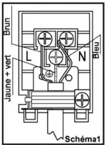 WALTHAM WTOMB - Instructions de branchement: - 2