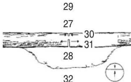 Tanaka TCS 33EB - Coupe transversale des grumes, la pression s'exercant par le bas - 1