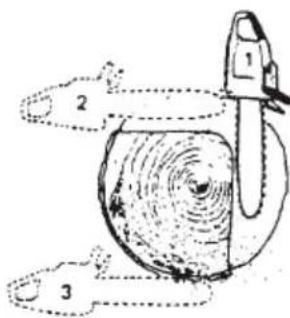 Tanaka TCS 33EB - Grumes d'un diamètre supérieur à la longueur du guide-chaine - 1
