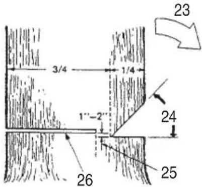Tanaka TCS 33EB - Basic rules for felling trees - 1