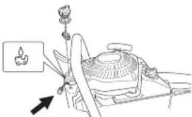 Tanaka TCS 33EB - Filtro de aceite para capena (Fig. 41) - 1