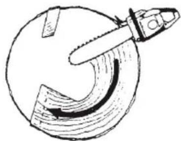 Tanaka TCS 40EA - FELLING CUT, TRUNK DIAMETER MORE THAN TWICE GUIDE BAR LENGTH - 2