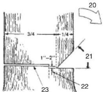 Tanaka TCS 40EA - BASIC RULES FOR FELLING TREES - 1