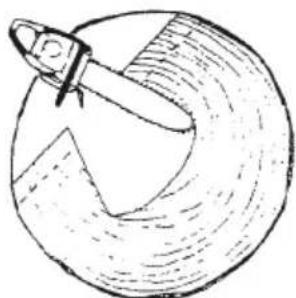 Tanaka TCS 40EA - REGLAS BÁSICAS PARA LA TALA DE ARBOLES - 2