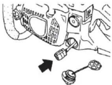 Tanaka TCS 40EA - Filtro de combustible (Fig. 37) - 1