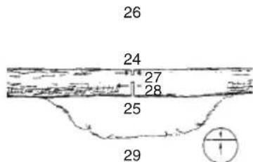 Tanaka TCS 40EA - CROSS CUTTING LOGS, PRESSURE ON TOP - 1