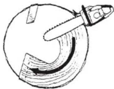 Tanaka TCS 40EA - COUPE D'ABATTAGE. DIAMÉTRE DU TRONC SUPERIEUR À DEUX FOIS LA LONGUEUR DU GUIDE-CHAINE - 2