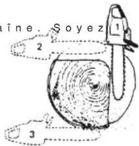 Tanaka TCS 40EA - GRUMES D'UN DIAMÈTRE SUPÉRIEUR À LA LONGUEUR DU GUIDE-CHAINE - 1