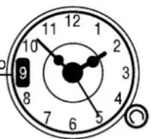 ROSIERES FC 31611IN - USO DEL TEMPORIZZATORE - 2