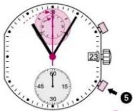 Torgoen T16CR44BKL - Nota - 2