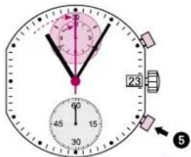 Torgoen T16CFIP45RO - Nota - 2