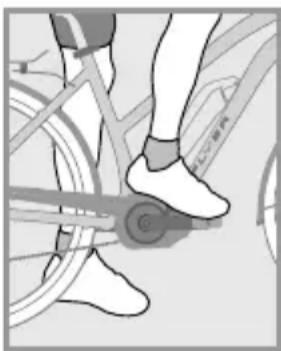 Flyer TSerie - Before the first ride - 7