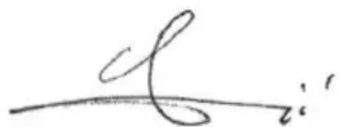 Flyer TSerie - Typenbezeichnung - 2