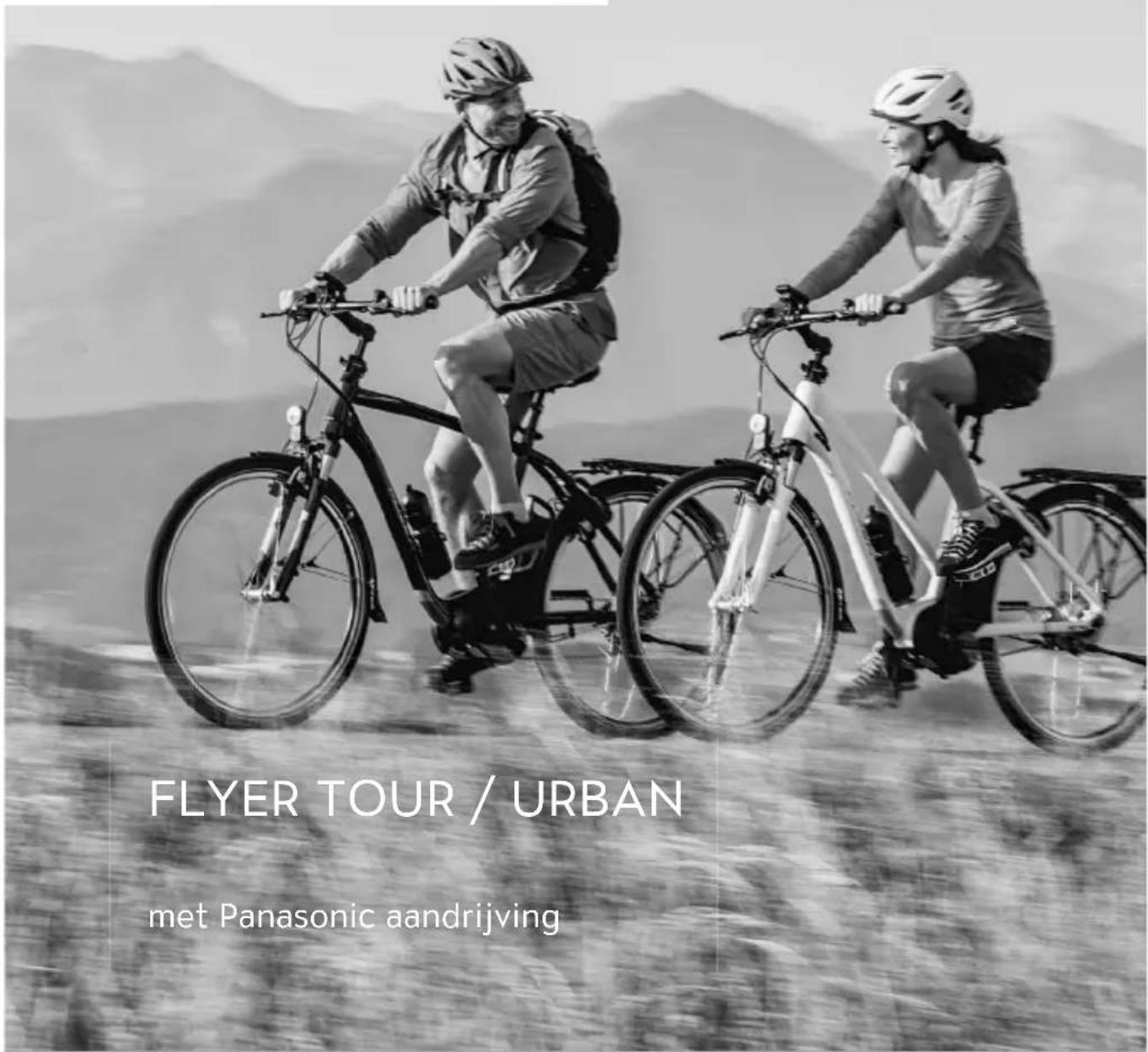 Flyer Gotour 4 - FLYER - 1