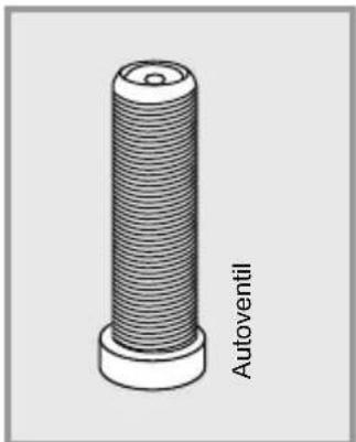 Flyer CSerie - Ventil vom Fahrradschlauch Ihres FLYER E-Bikes - 1