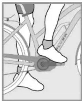 Flyer CSerie - Before the first ride - 7
