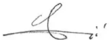 Flyer CSerie - FLYER TOUR / URBAN - 2