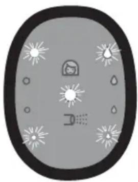 NUK BP7 Nature Sense - Remarques : - 1